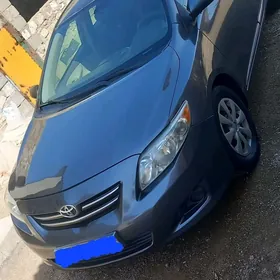 Toyota Corolla 2010