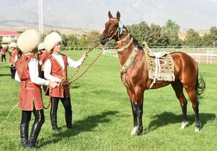 В Научно-производственном центре коневодства в Аркадаге проводится генетическое тестирование лошадей