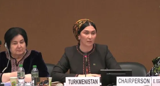 В ООН ознакомились с Национальным планом действий Туркменистана по гендерному равенству