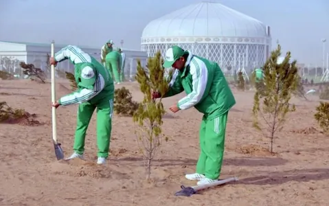 В 2024 Туркменистан планирует посадить около 3 миллионов молодых деревьев разнообразных видов