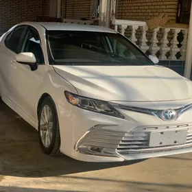 Toyota Camry 2019