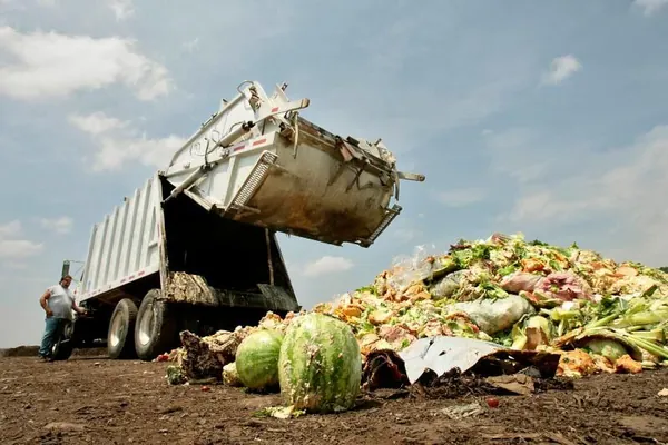 Ученые: почти два миллиарда тонн еды в год уходят в мусор