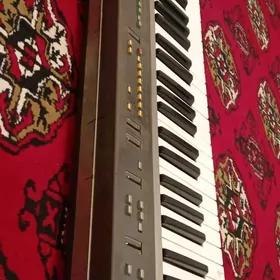 Yamaha  psr. 55