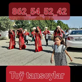 Toy tanscylar