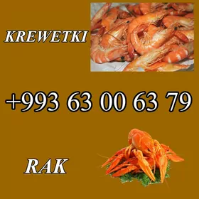 RAK KREWETKI