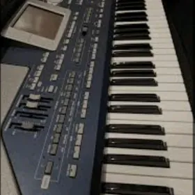 korg pa800