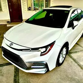 Toyota Corolla 2020