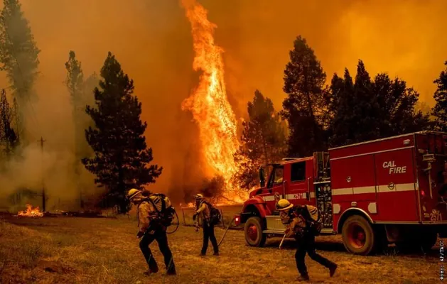 Мэттью МакКонахи и Америка Феррера сыграют в драме о спасении детей из зоны пожаров