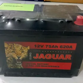 Jaguar 75Ah (7/24)