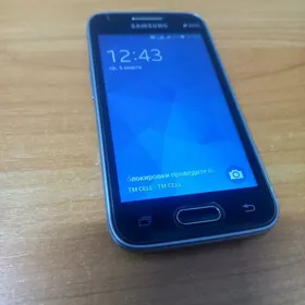 Samsung Telefon 313