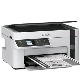 EPSON M2110 (Монохромный)