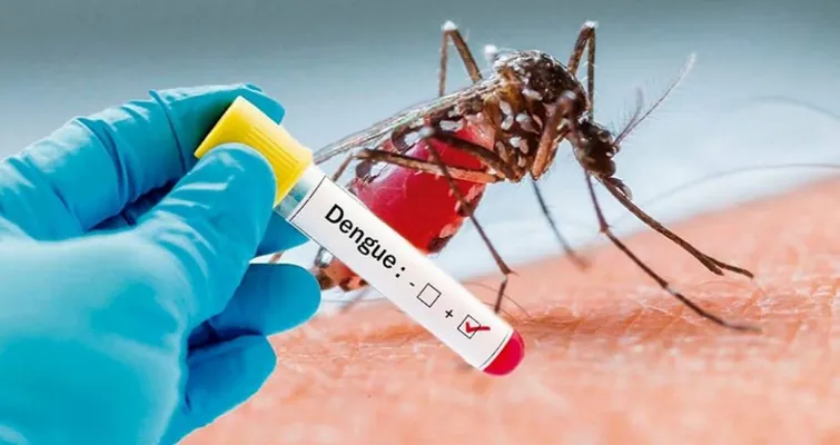 Ученые в Бразилии борются с лихорадкой денге с помощью выращенных в лаборатории ГМО-комаров