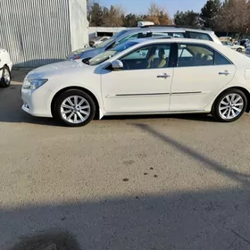 Toyota Aurion 2013