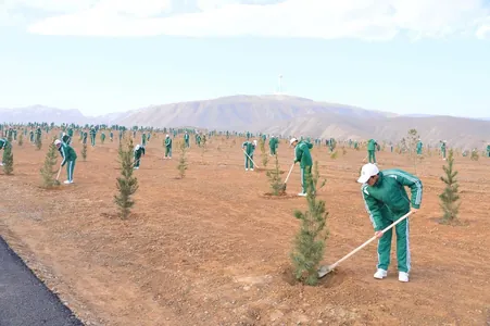 Сердар Бердымухамедов дал старт весенней озеленительной кампании в Туркменистане