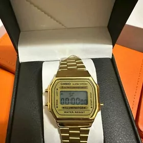 Casio sagat