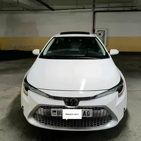 Toyota Corolla 2019