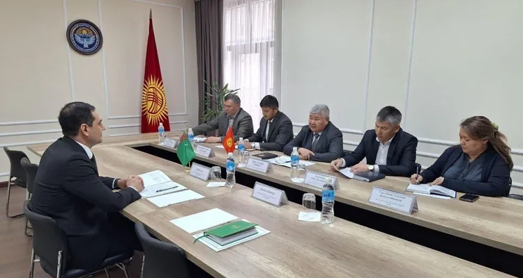 Посол Туркменистана в Кыргызстане встретился с министром энергетики