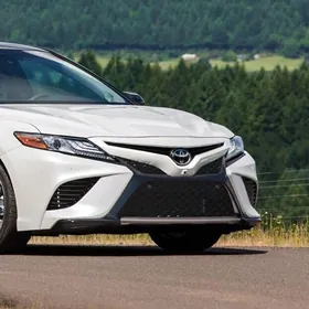 oblisofka camry 2019