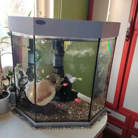 аквариум 100лит