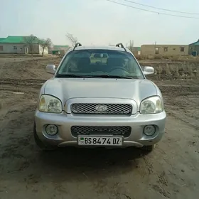 Hyundai Santa Fe 2003