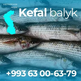 KEFAL KILKA RAK KREWETKI