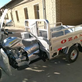 Ozan 200CC 2023