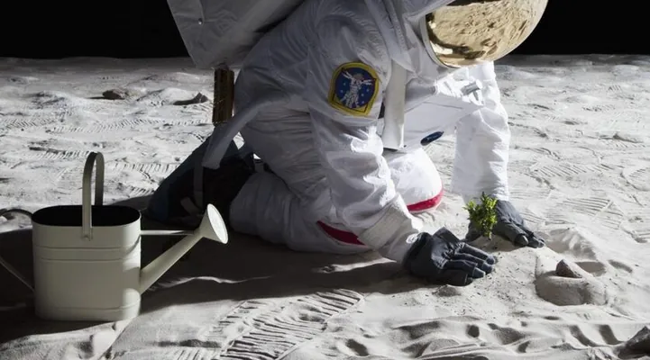 Американские астронавты доставят на Луну теплицу и научные приборы