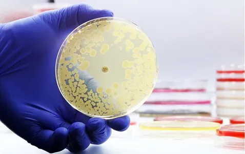 Ученые впервые за десятилетия разработали новый класс антибиотиков