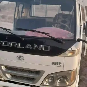 Forland H2 2008