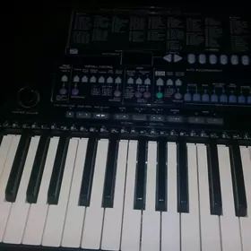 Yamaha psr-510