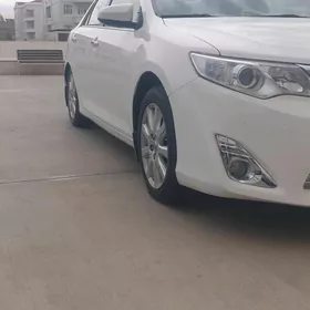 Toyota Camry 2013