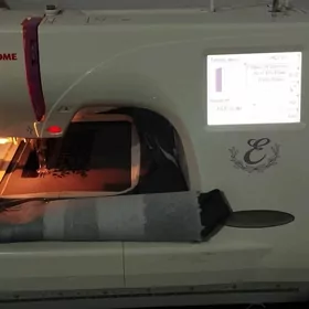 Janome 350 E