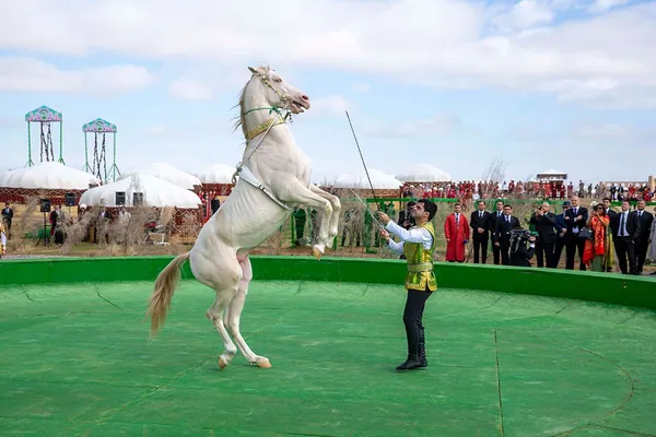 Международный конкурс красоты ахалтекинских коней пройдет 27 апреля в городе Аркадаг