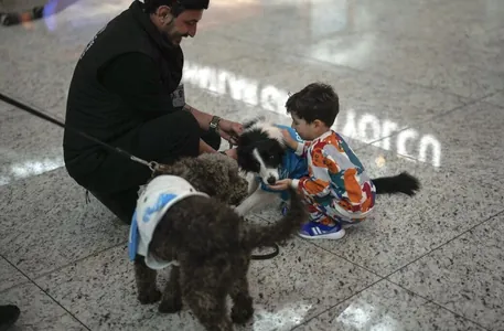 В Стамбульском аэропорту появились собаки-терапевты