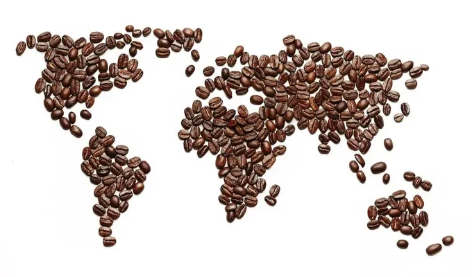 Ученые нашли прародину кофе. Арабика появилась 350-600 тыс. лет назад в Йемене