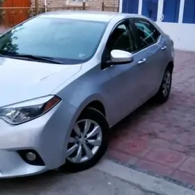 Toyota Corolla 2013