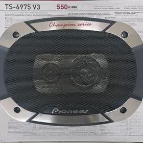 Pioneer kolonka колонка