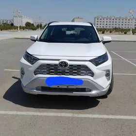 Toyota RAV4 2019