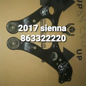 morda Sienna Saska 2017