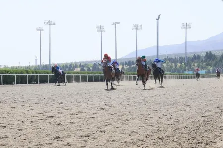 Serdar Berdimuhamedow Halkara ahalteke atçylyk sport toplumynda geçirilen dabaralara gatnaşdy