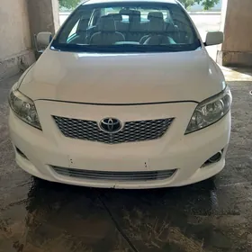 Toyota Corolla 2010