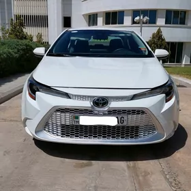 Toyota Corolla 2019