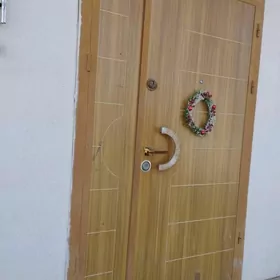 дверь делезная