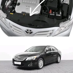 Camry Aurion  Plasmas Keçe