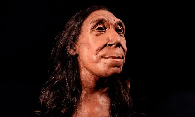Ученые воссоздали облик неандертальской женщины, жившей 75 000 лет назад