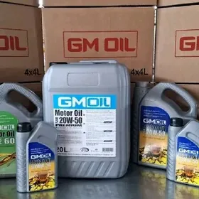 GM OIL 5W/30