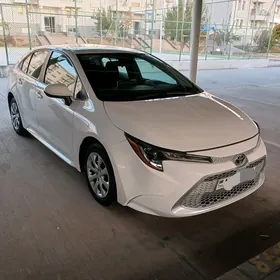 Toyota Corolla 2019