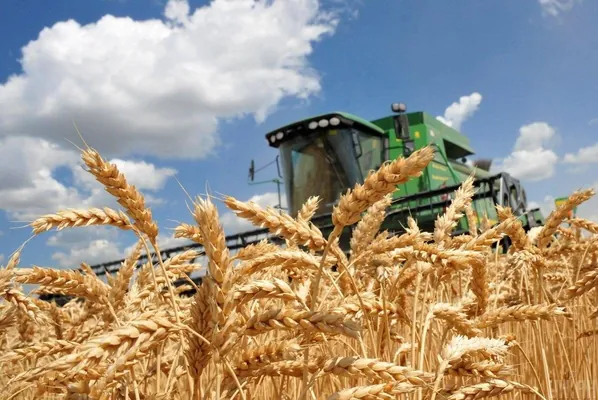 Президент Туркменистана подписал Постановление о мерах по уборке пшеницы