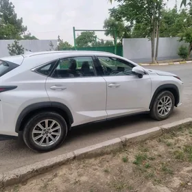 Lexus NX 300 2020