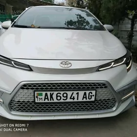 Toyota Corolla 2019